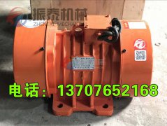 廊坊振動(dòng)電機(jī)YZU-75-4型15臺(tái)發(fā)貨通知